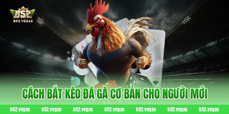Cách bắt kèo đá gà cơ bản cho người mới